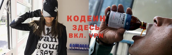 крисы Магас