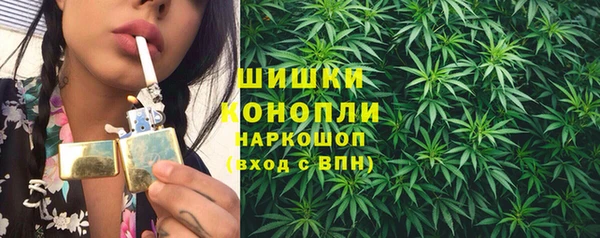 ешки Алзамай