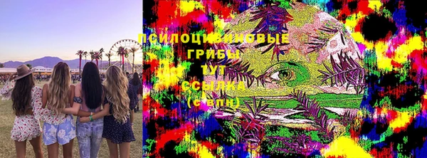 ешки Алзамай