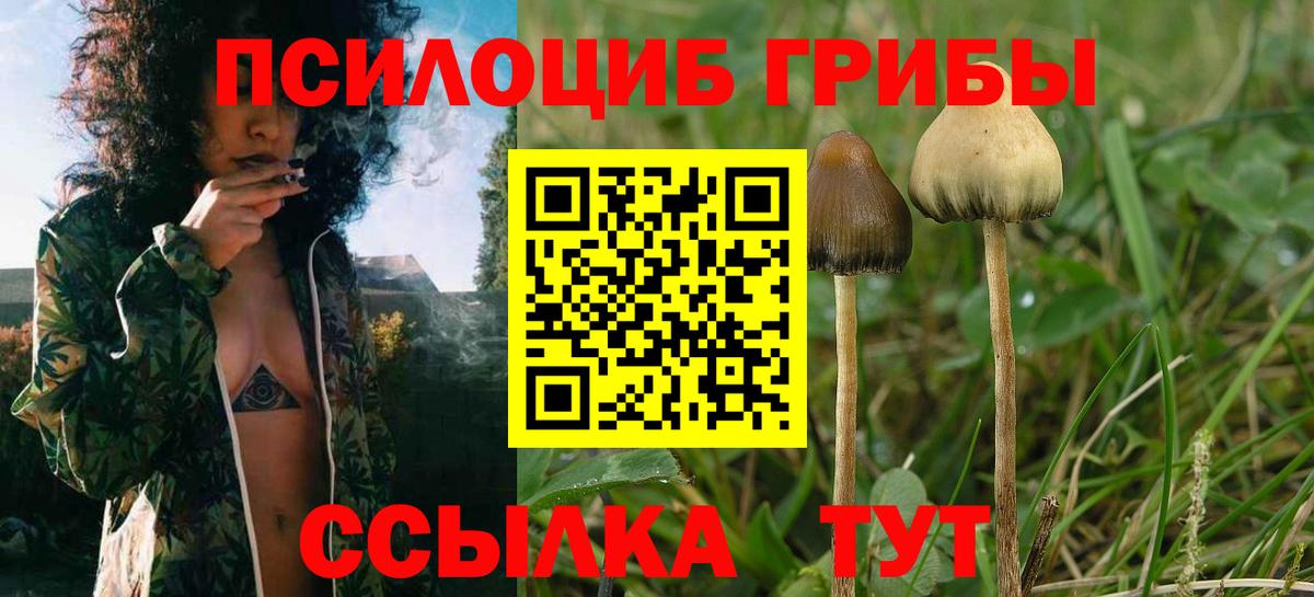 Галлюциногенные грибы Magic Shrooms  Вход с VPN  Саров 